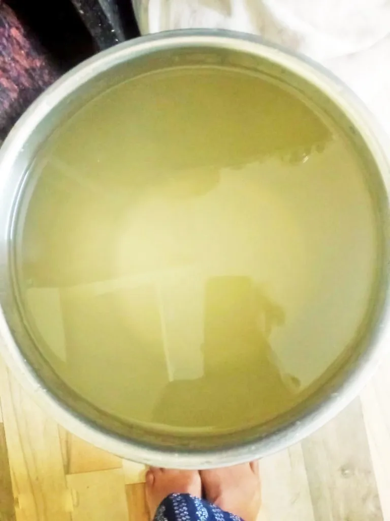 Drinking water mixed with turbid algae from taps in Lakshmi Galli