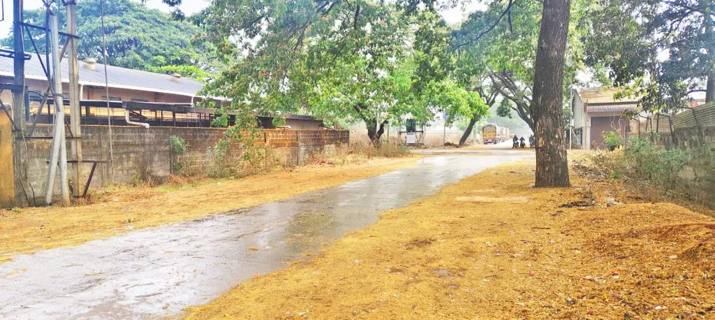 तालुक्यात अवकाळी पावसाची हजेरी Unseasonal rains in the taluka