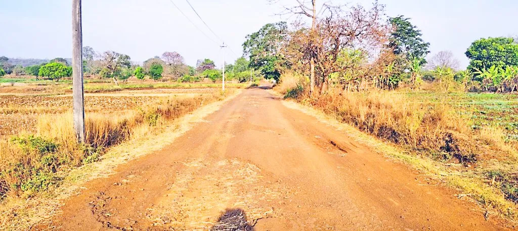 Who is the guardian of the Kurle-Belavatti link road?