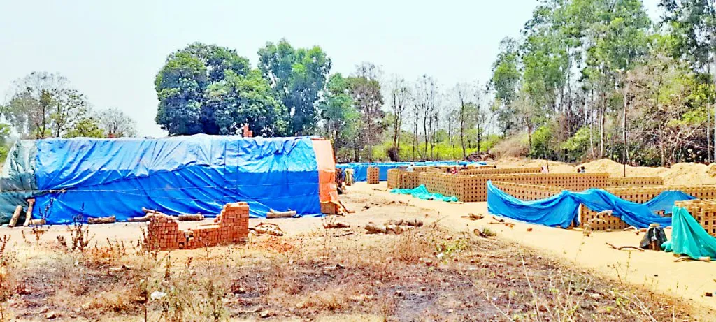 Rain forecast in Desor area