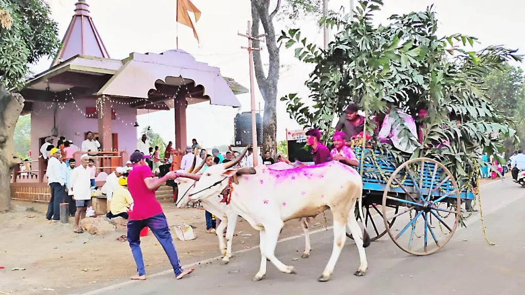 The pilgrimage festival of Basavanna Temple in Kadoli - Gudi Padwa in full swing