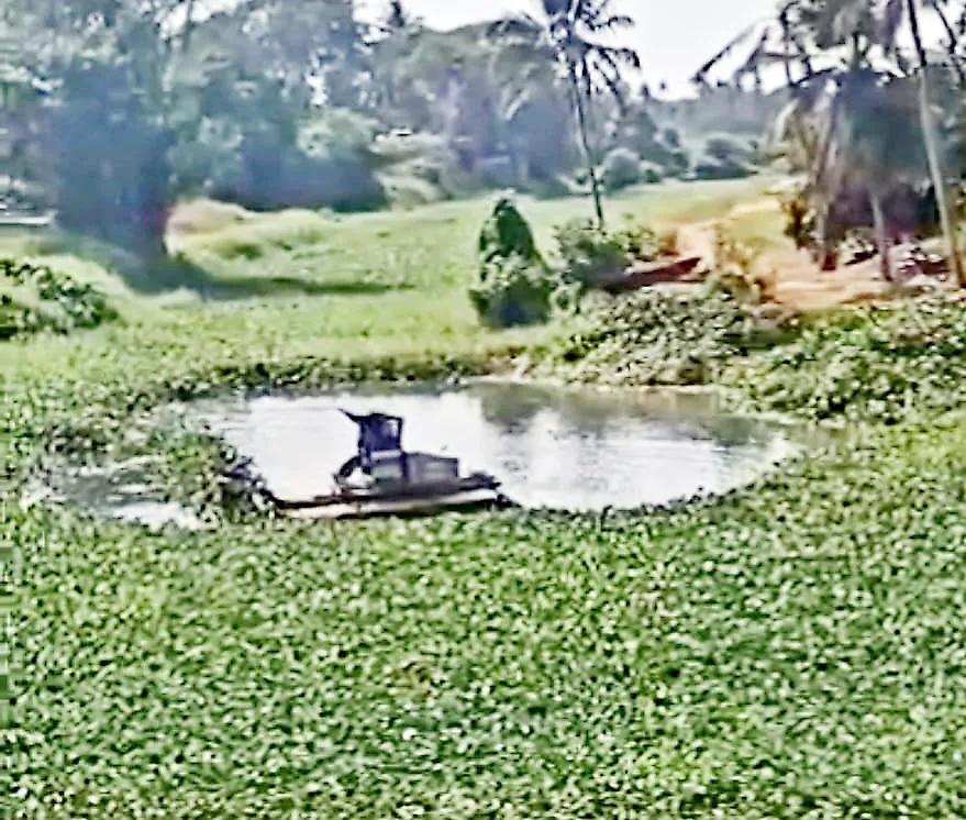 Work to remove grass from Sal River without inviting tenders