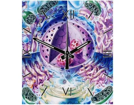 Humans are disrupting the biological clock of animals