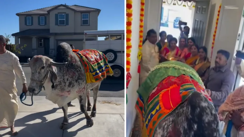 अमेरिकेत प्रथा-परंपरेचे पालन Following customs and traditions in America