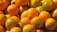 बांगलादेशाने संत्री आयात शुल्कात केली पहिल्यांदाच कपात Bangladesh orange import duty for the first time