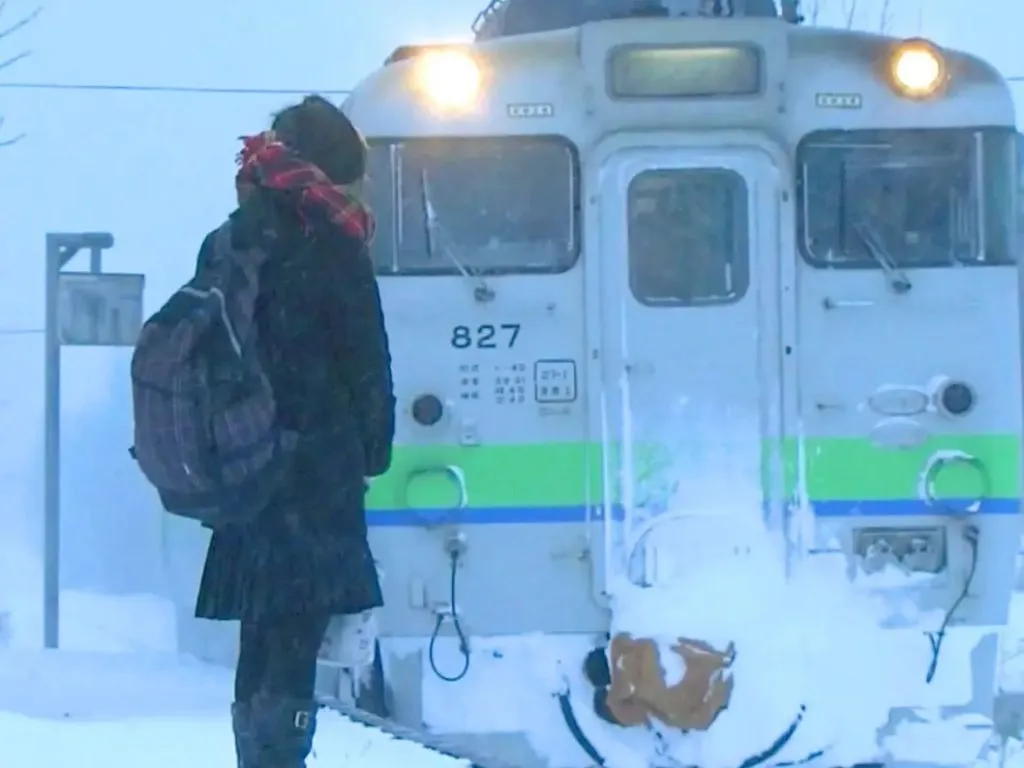 एका प्रवाशासाठी रेल्वेस्थानक Railway station for one passenger