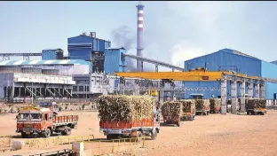 Sugar production in the division decreased by 2.34 metric tons