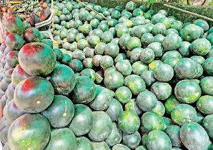 Summer is here, take care of your health