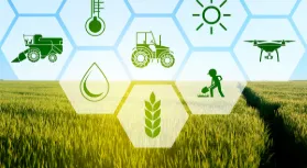 Blockchain technology will become an important support for agriculture