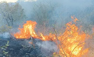 Wildfire on Dhuloba Hill on the eve of Dhuleshwar Yatra