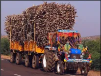 Due to police action, sugarcane transport contractors get protection