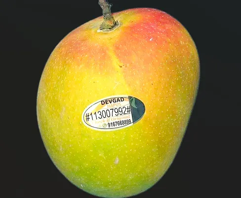 Identify Devgad Hapus with a 'Unique Code'!