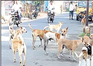 Slow pace of de-seeding...fear of population growth!