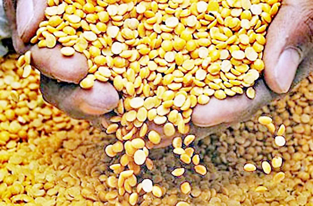 इंदिरा किटमध्ये मुगाऐवजी अतिरिक्त तूरडाळ Indira kit has extra tur dal instead of moong dal