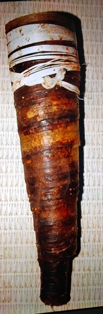 Youth in Uchgaon area addicted to drugs