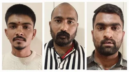 तिघांची टोळी दोन वर्षाकरीता तडीपार Three-member gang banished for two years