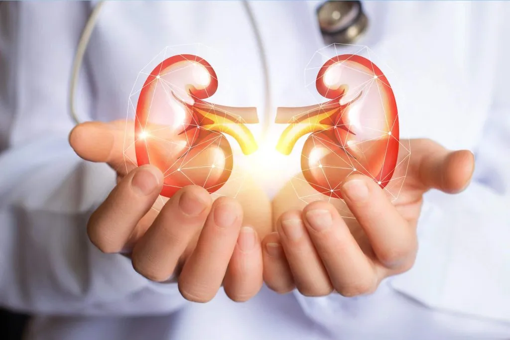 25 percent of children worldwide suffer from kidney disorders