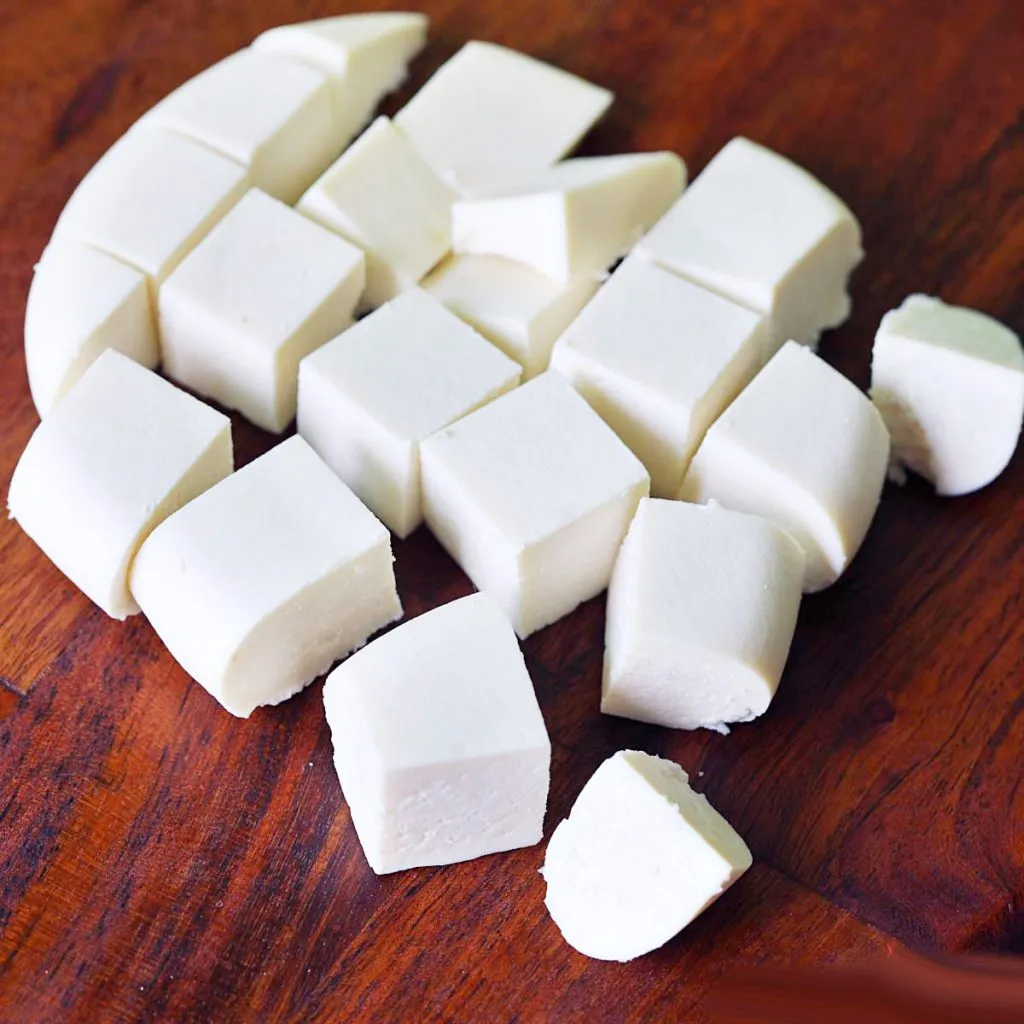 Bacteria Found in Paneer