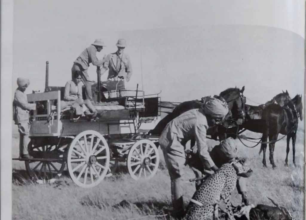 सांगा कोल्हापुरात वाघ नाका कोठे आहे? Tell me, where is Wagh Naka in Kolhapur?