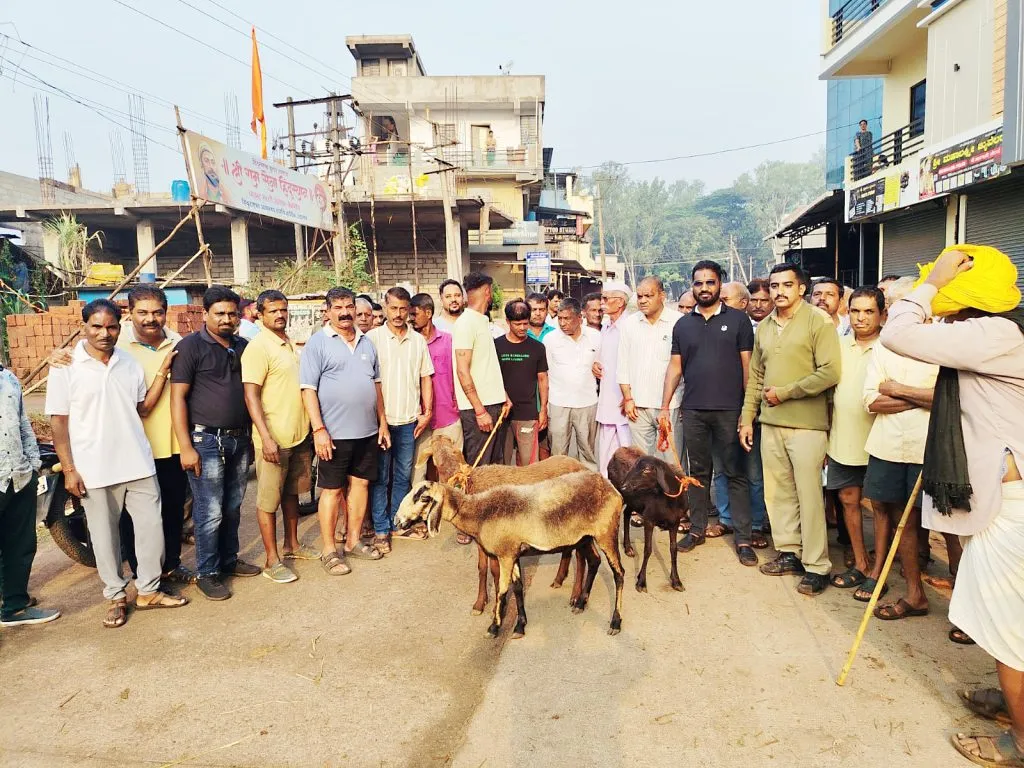 पशूहत्येवर निर्बंध असतानाही मळेकरणीसाठी आणलेली बकरी ग्रामपंचायत कडून जप्त Despite restrictions on animal slaughter, goat brought for farming seized from farmer