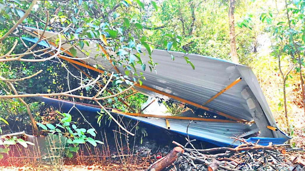 The taluka was lashed by rain accompanied by strong winds.