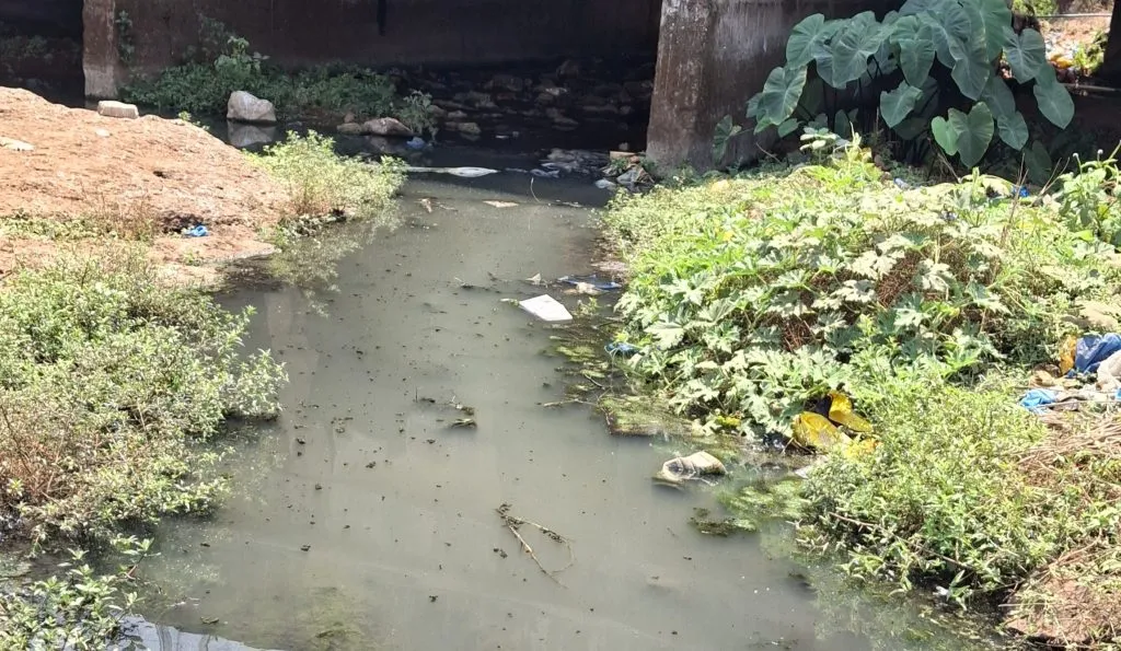 Skin Infections in Children Due to Contaminated Water Source