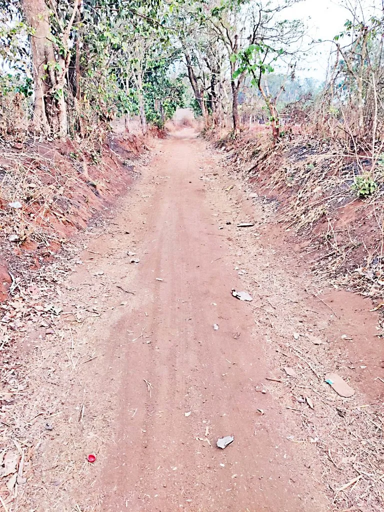 There are no paved roads to travel to and from the farms in Uchgaon area, causing inconvenience.