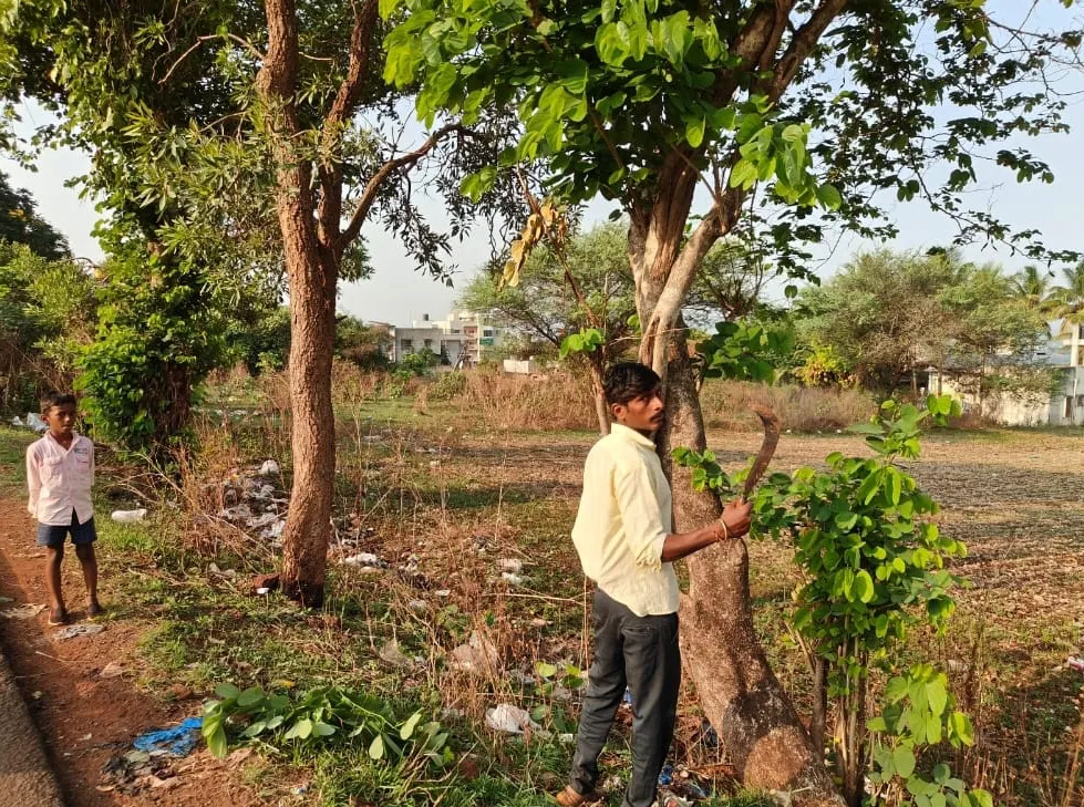 विनाकारण वृक्षतोड करणाऱ्यास रोखले Stopped someone who was cutting down trees without reason