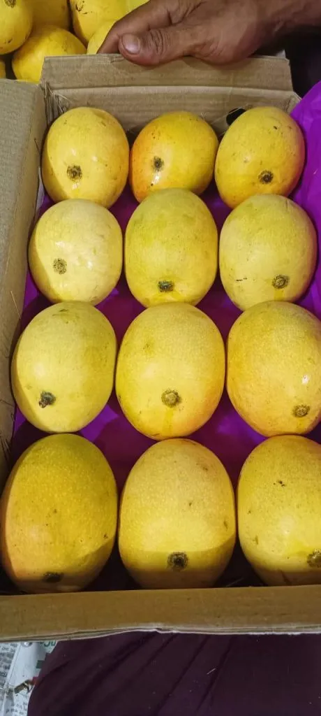 The wholesale fruit market is booming.