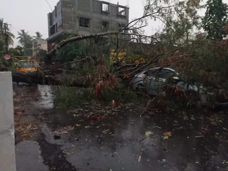 Unseasonal rain strikes; normal life disrupted