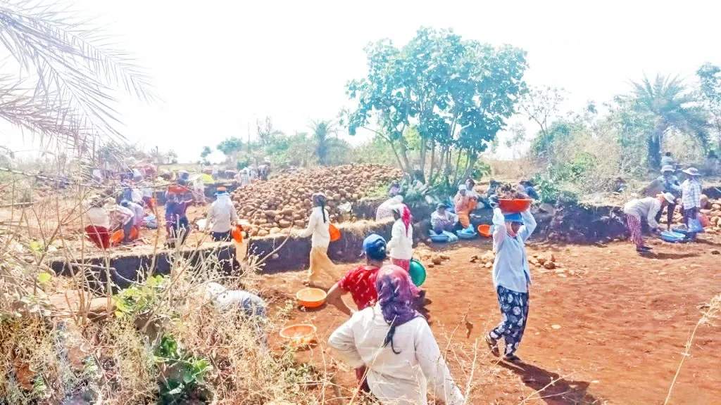 Rohyo work intensifies in Dhamane area