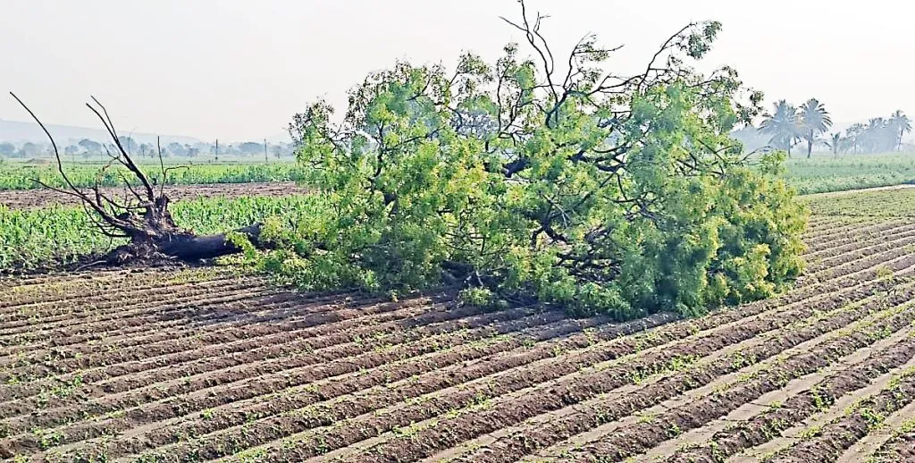 बाळेकुंद्री खुर्दला पावसाचा जोरदार तडाखा Heavy rains lashed Balekundri Khurd