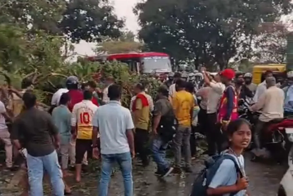 Heavy rains lashed the eastern region: Trees fell and uprooted