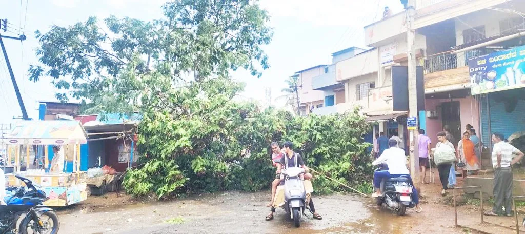 मच्छे-पिरनवाडी भागात वादळी वाऱ्यासह मुसळधार पाऊस Heavy rain with gusty winds in Machhe-Piranwadi area