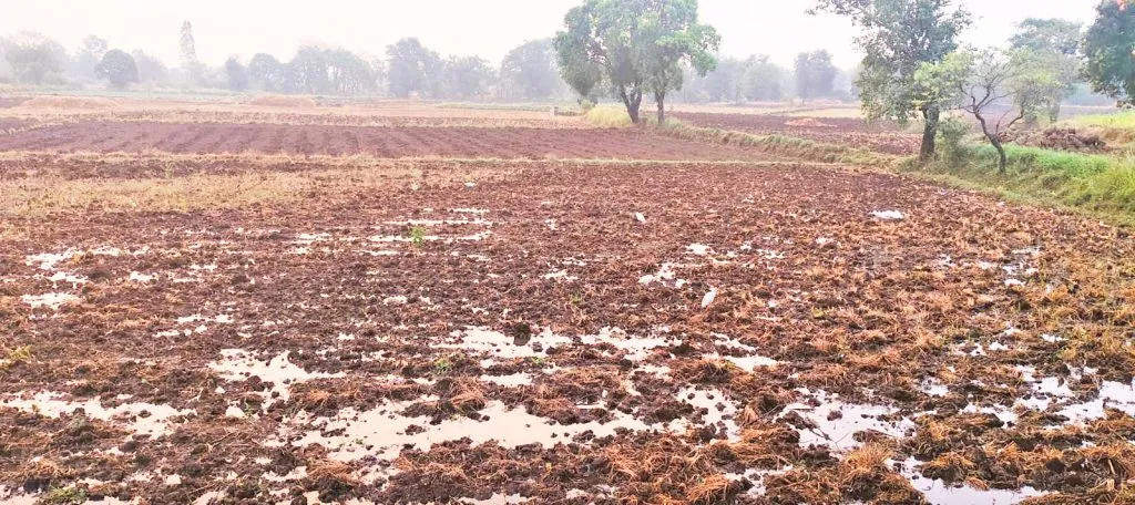 Most of the area was hit by rain accompanied by strong winds.