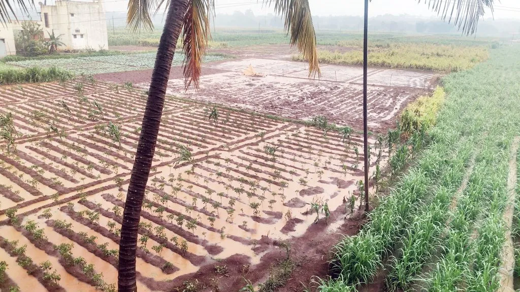 उचगाव परिसरात जोरदार पाऊस Heavy rain in Uchgaon area