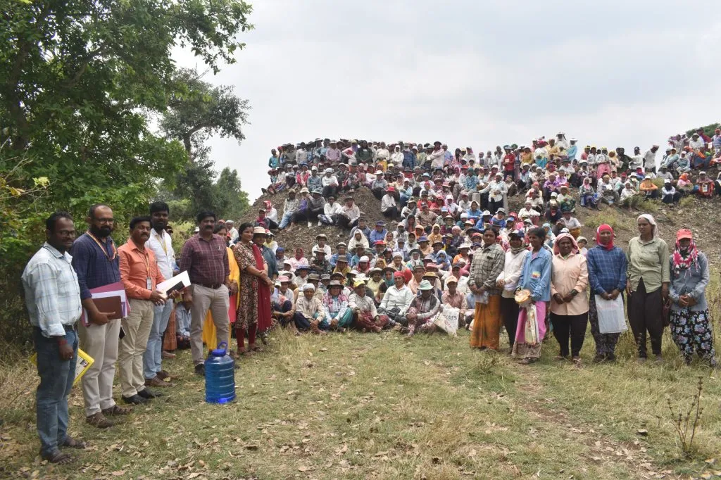 Make good use of Rohyo