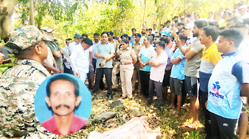 Farmer dies in elephant attack in Morle