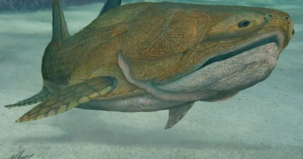 Major discovery made from ancient fish remains