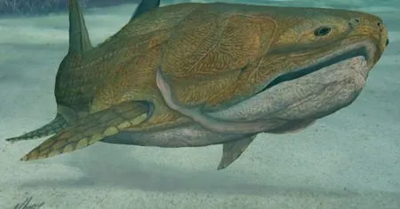 Major discovery made from ancient fish remains