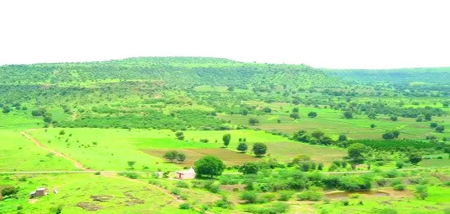 136 acres of uncultivated land in Avaroli will be returned to the government