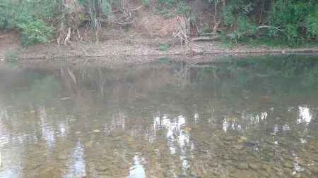 माजगावच्या तरुणाचा ओटवणे नदीपात्रात बुडून मृत्यू