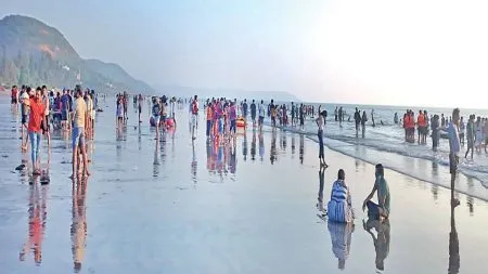 tourism sector nut plantations beaches, water sports dolphin tours