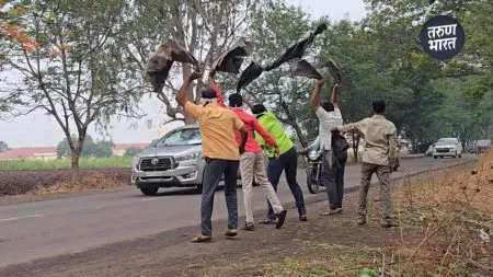 Sanjay Savkare Kolhapur Toor: स्वाभिमानीच्या कार्यकर्त्यांनी संजय सावकारेंना काळे झेंडे का दाखवले? CM Fadnavis Mahayuti promised complete loan waiver to farmers