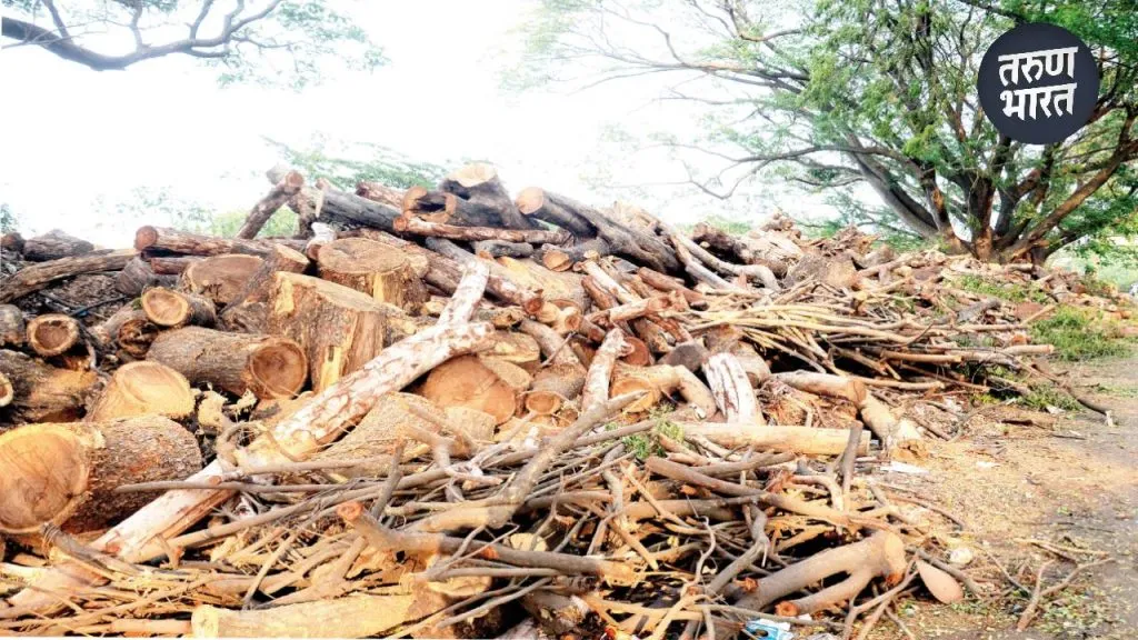 Panchganga Crematorium enough wood chips last 5 next five years
