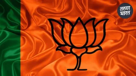Election of new BJP president possible by July 21
