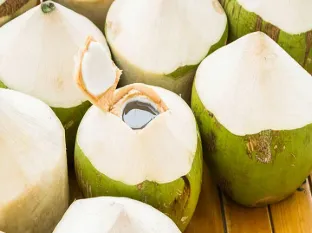 Tender coconut, a relief in the scorching heat