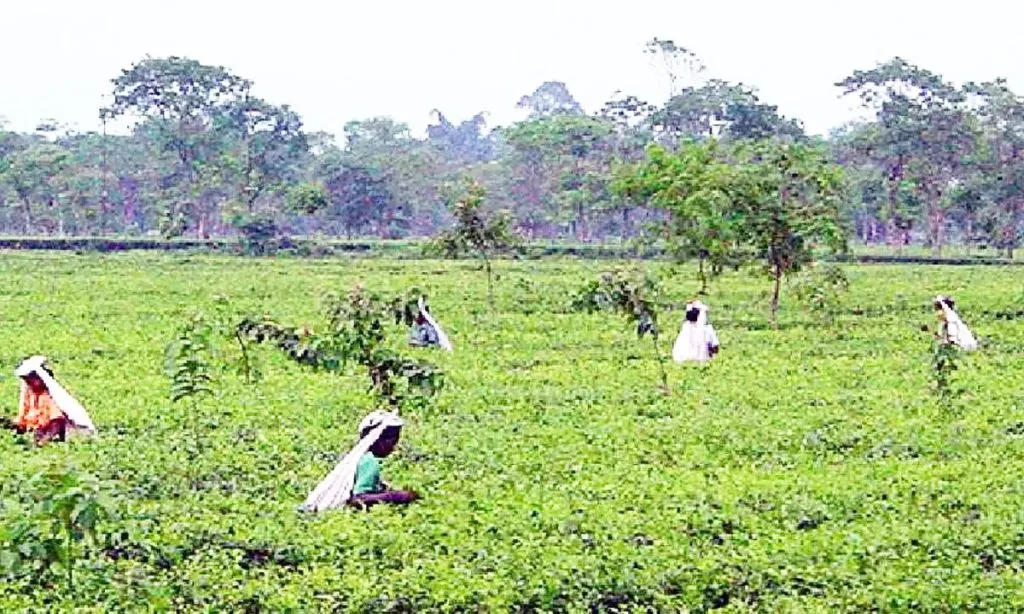 And Shivar started getting hot too!