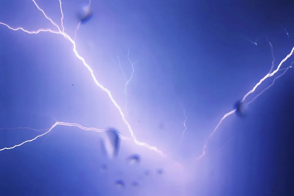 The presence of the waliva again in the city area