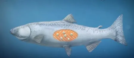 ऑक्सिजनशिवाय जिवंत राहणारा जीव An organism that can survive without oxygen